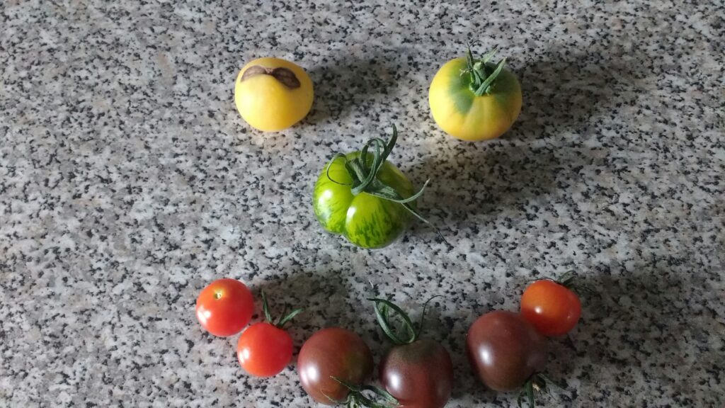 Tomatengesicht